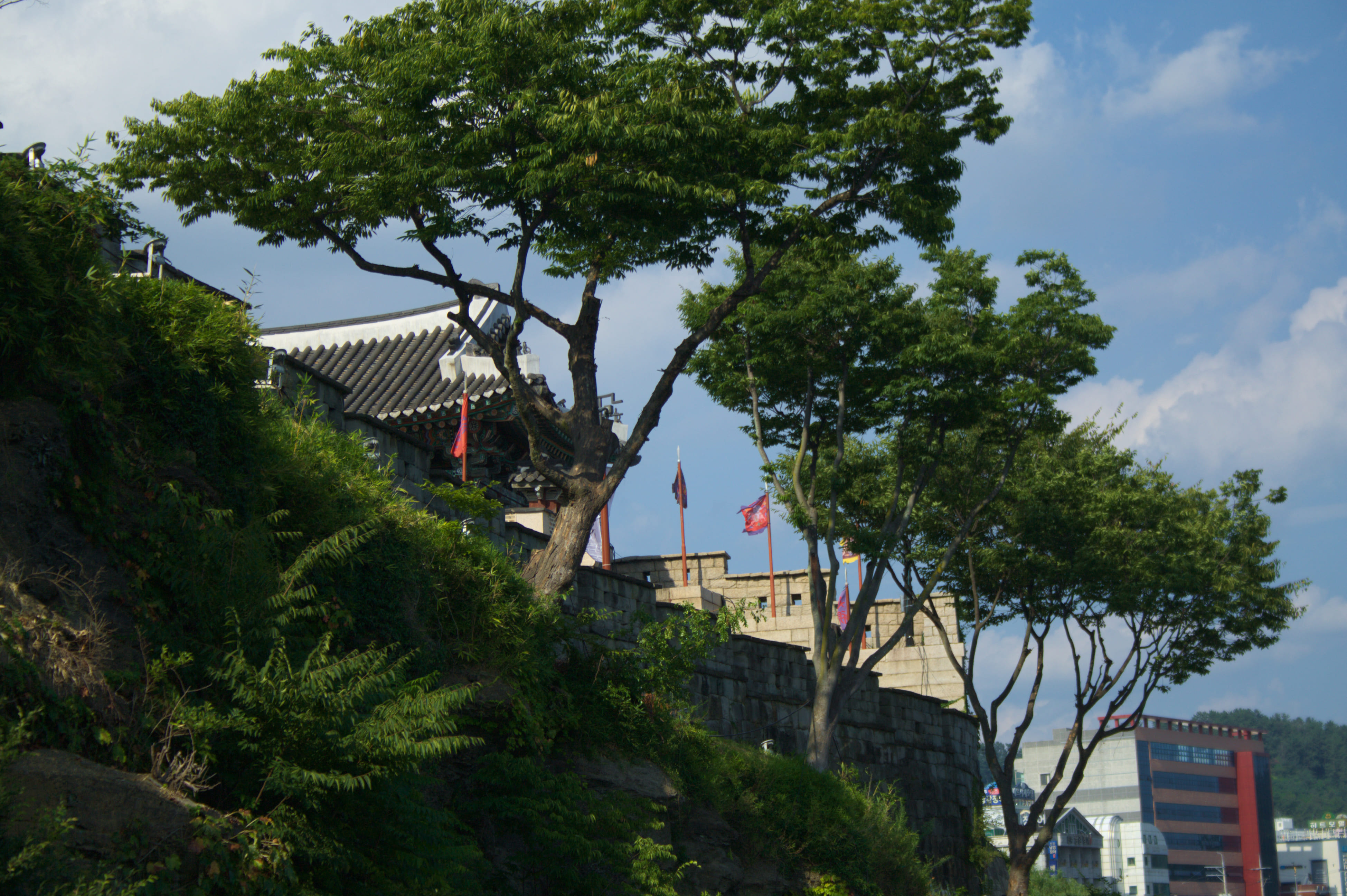 Jinju